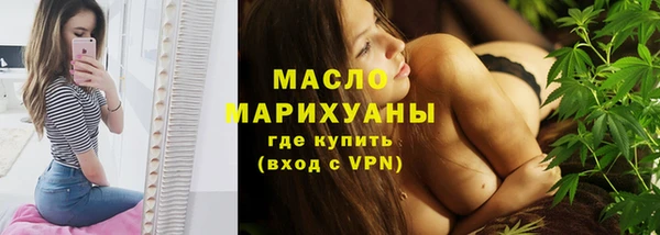 амф Бородино