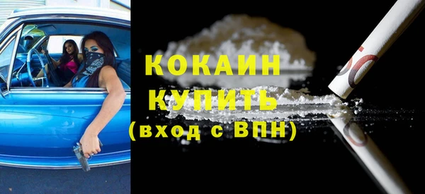 амф Бородино