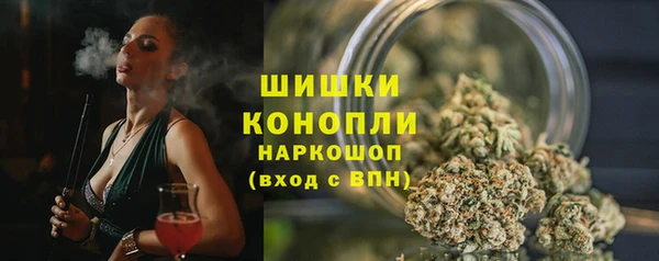 амф Бородино