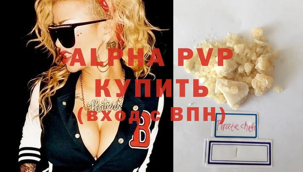амф Бородино