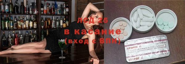 амф Бородино