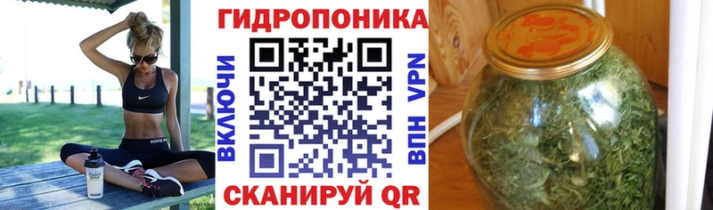 Каннабис VHQ  Купить где  Новокубанск 